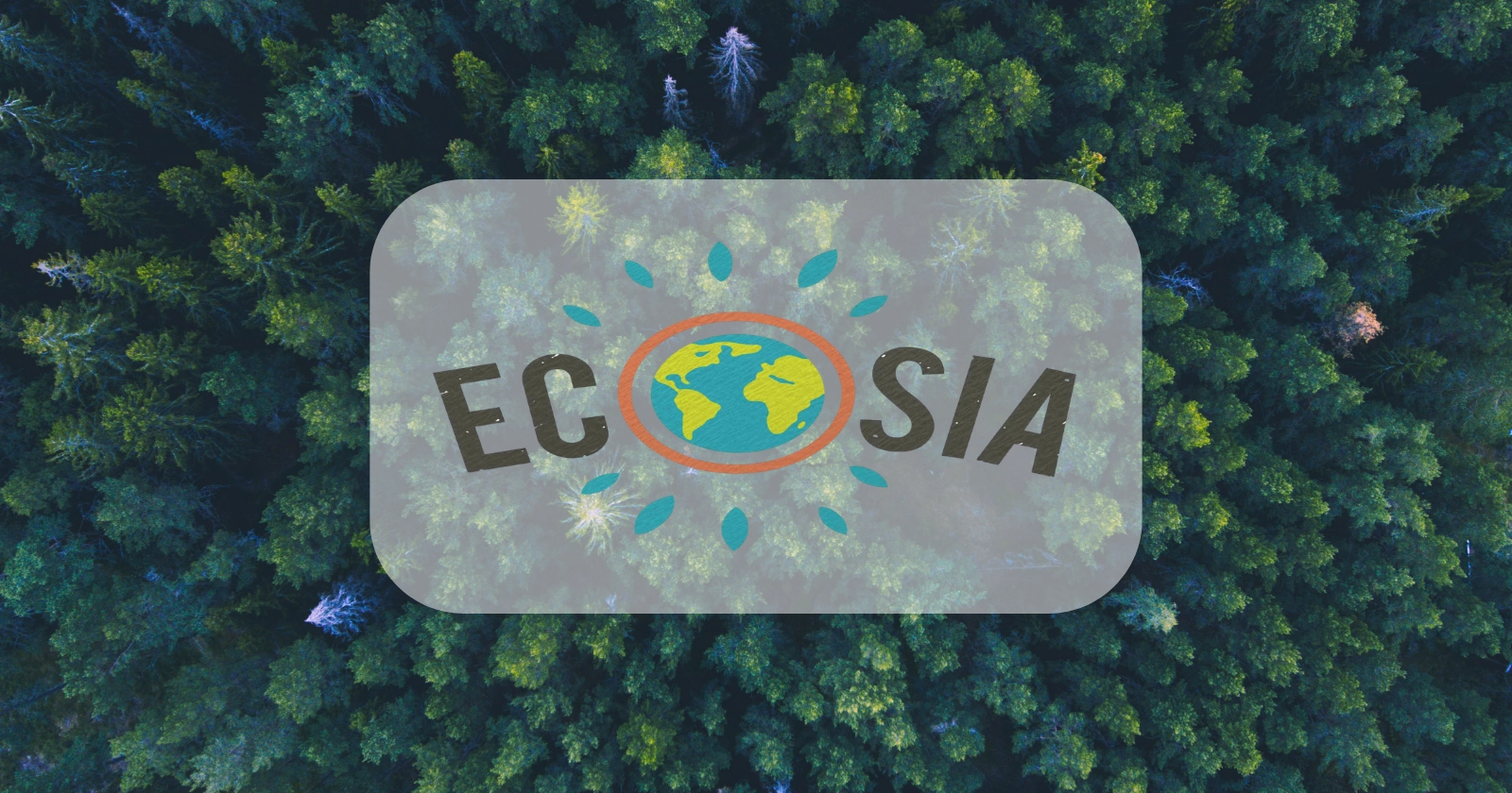 Ecosia: el buscador demuestra que otra internet es posible
